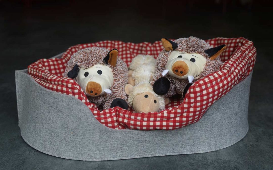 Hunde Premium Bett Filz Rund um Hund Berlin