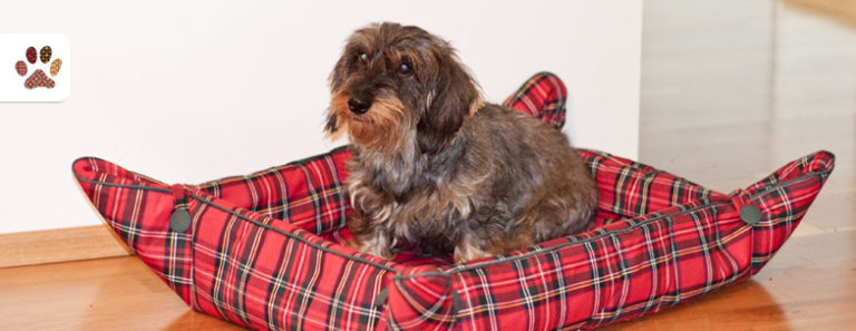 Hundebett1 Rund um Hund Berlin